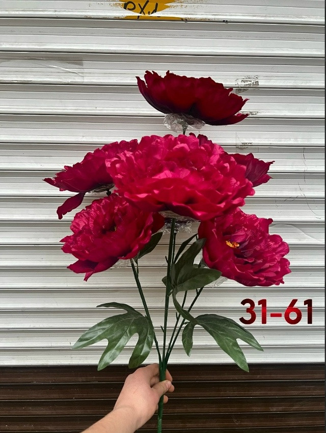 цветы купить в Интернет-магазине Садовод База - цена 1600 руб Садовод интернет-каталог