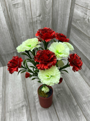 Гвоздика САДОВОД официальный интернет-каталог