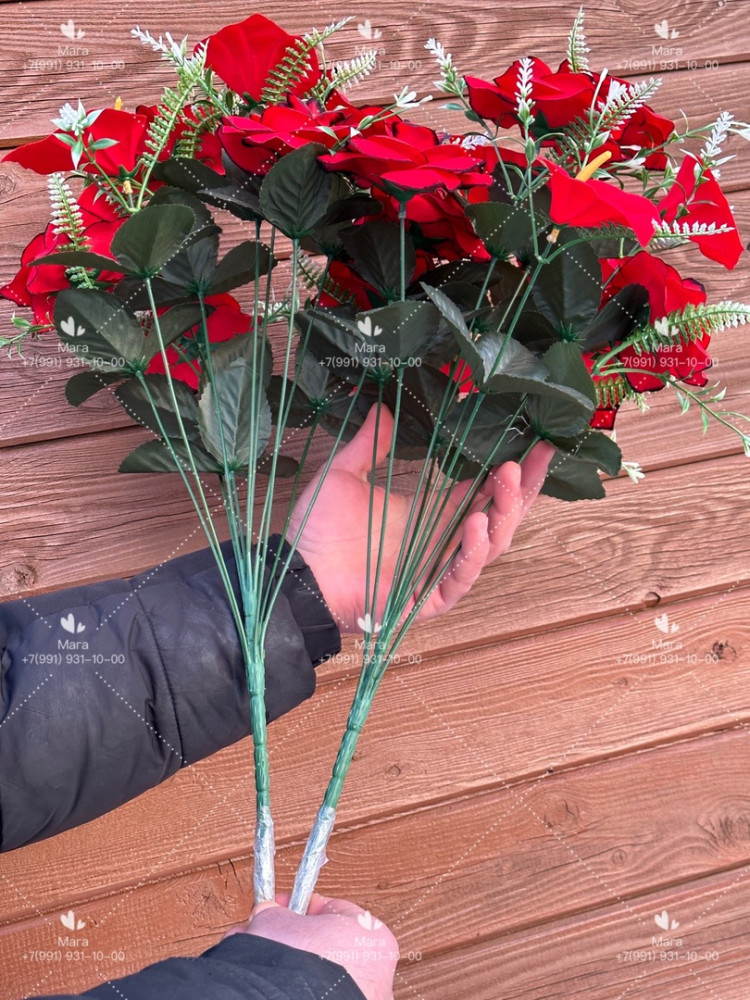 Роза с кала бархат купить в Интернет-магазине Садовод База - цена 2400 руб Садовод интернет-каталог