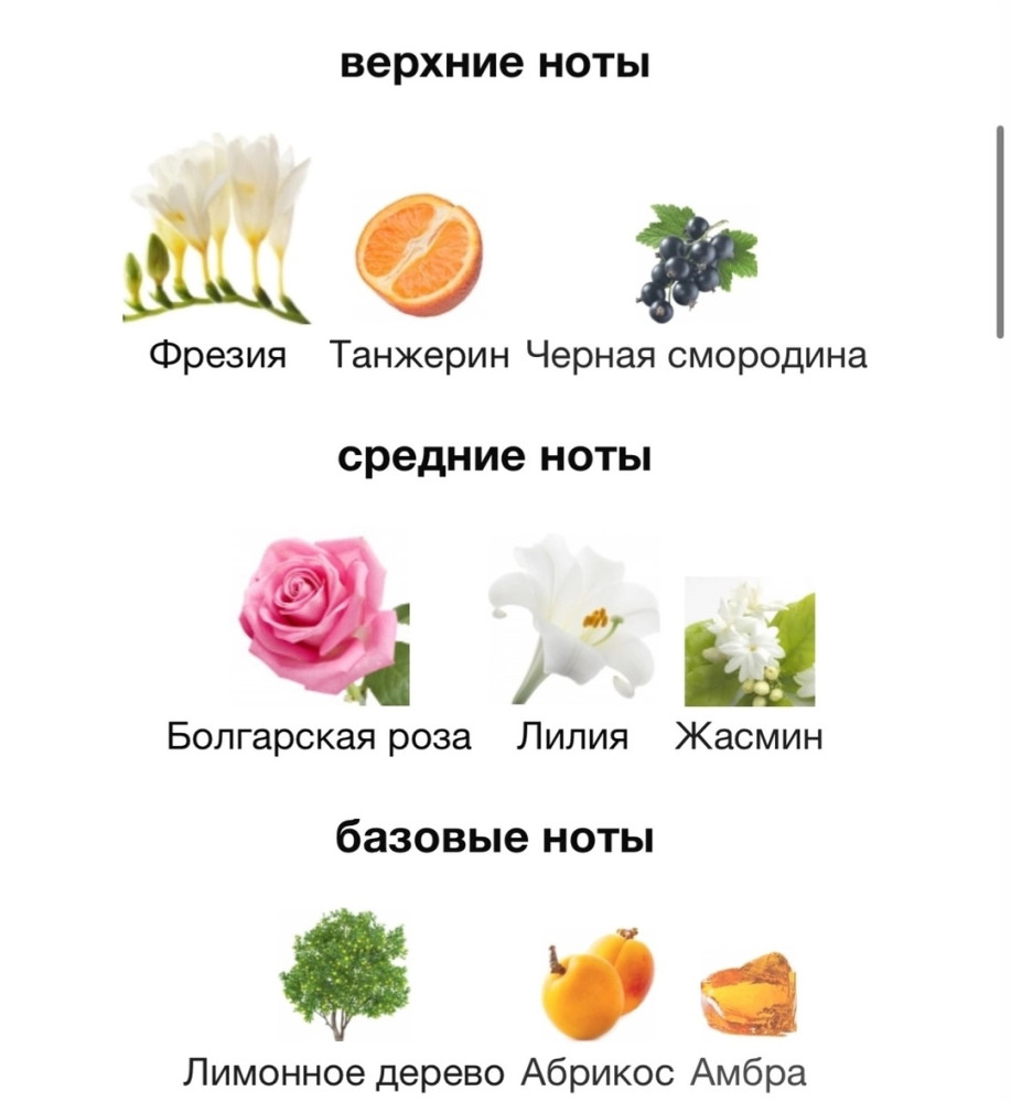 Женские духи купить в Интернет-магазине Садовод База - цена 1200 руб Садовод интернет-каталог