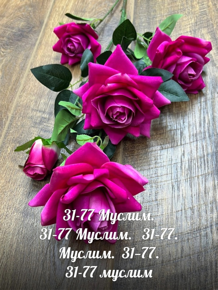 цветы купить в Интернет-магазине Садовод База - цена 6000 руб Садовод интернет-каталог