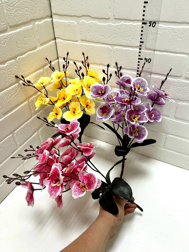 цветы купить в Интернет-магазине Садовод База - цена 2200 руб Садовод интернет-каталог