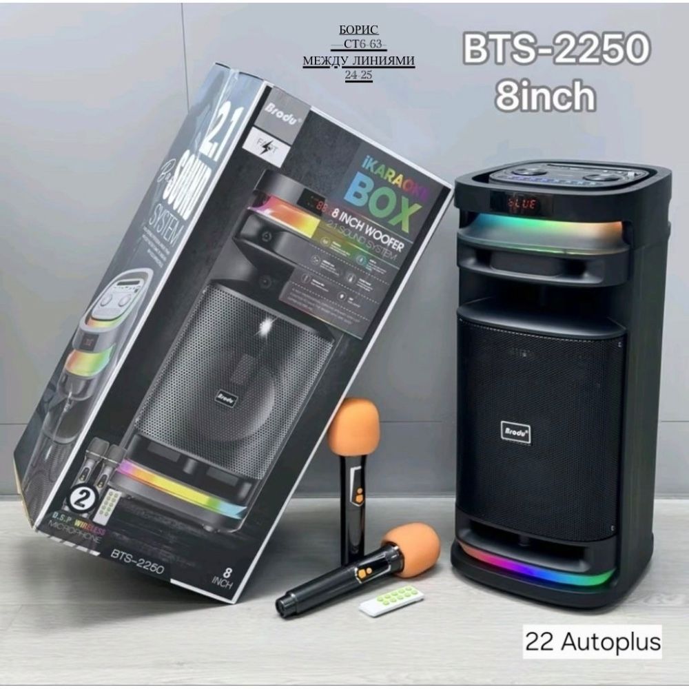 Портативная колонка Brodu BTS-2250 Karaoke BOX 🔷 купить в Интернет-магазине Садовод База - цена 6000 руб Садовод интернет-каталог