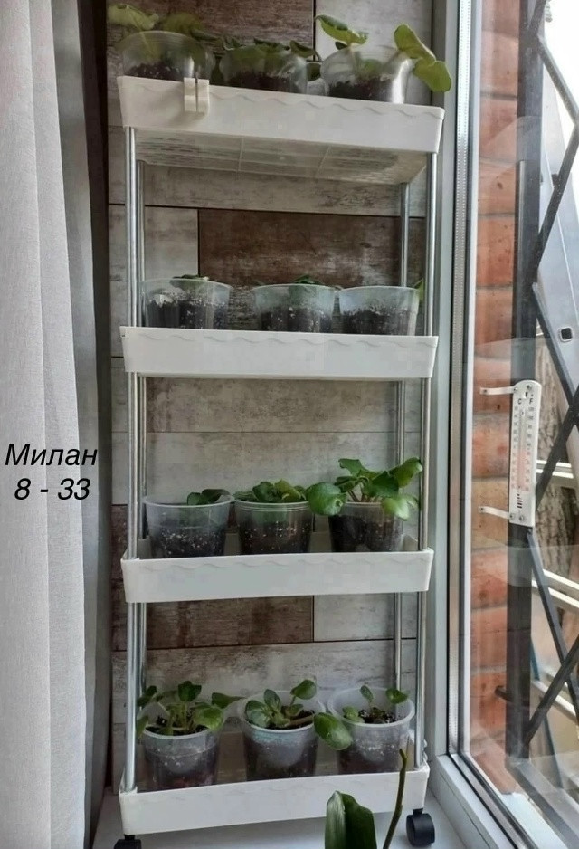 Передвижная полка купить в Интернет-магазине Садовод База - цена 449 руб Садовод интернет-каталог