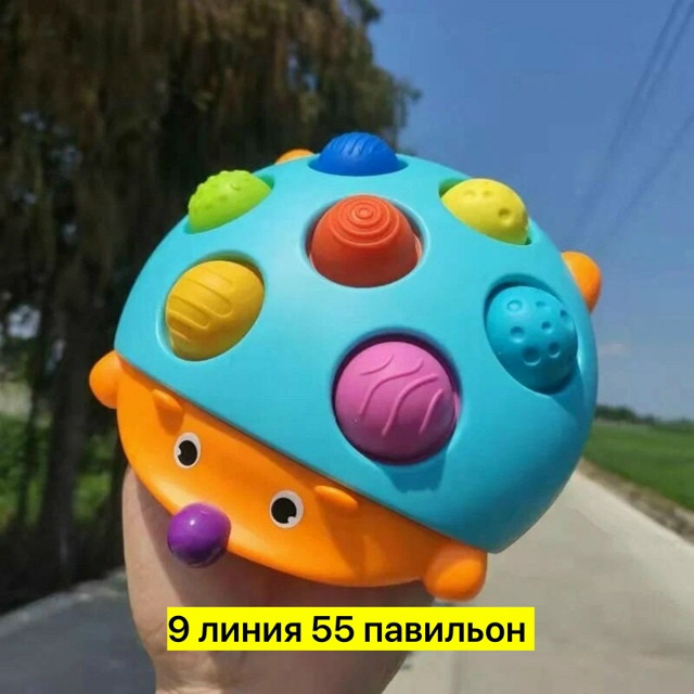 Сортер в виде eжика купить в Интернет-магазине Садовод База - цена 250 руб Садовод интернет-каталог
