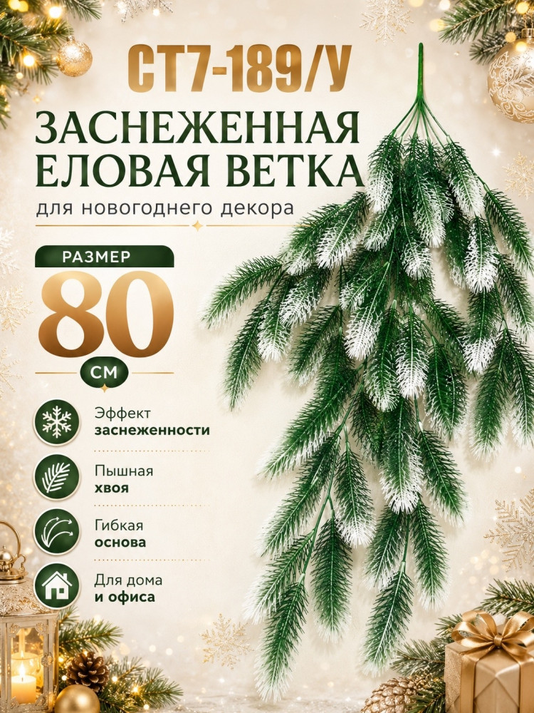 Хвойные Ветки