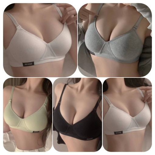 V-BJ2606090841 САДОВОД официальный интернет-каталог