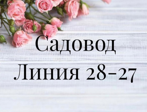 Линия 28-27 садовод женская и мужская одежда Садовод интернет магазин