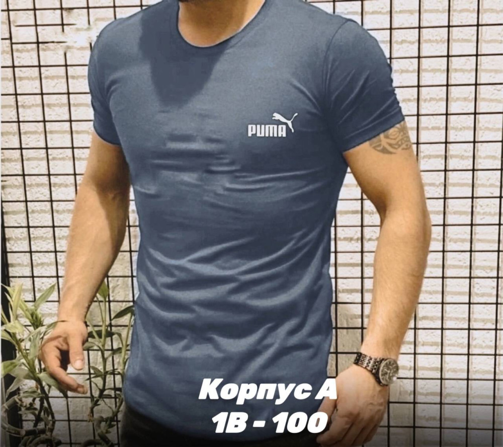 Мужская футболка Без выбора цвета купить в Интернет-магазине Садовод База - цена 150 руб Садовод интернет-каталог
