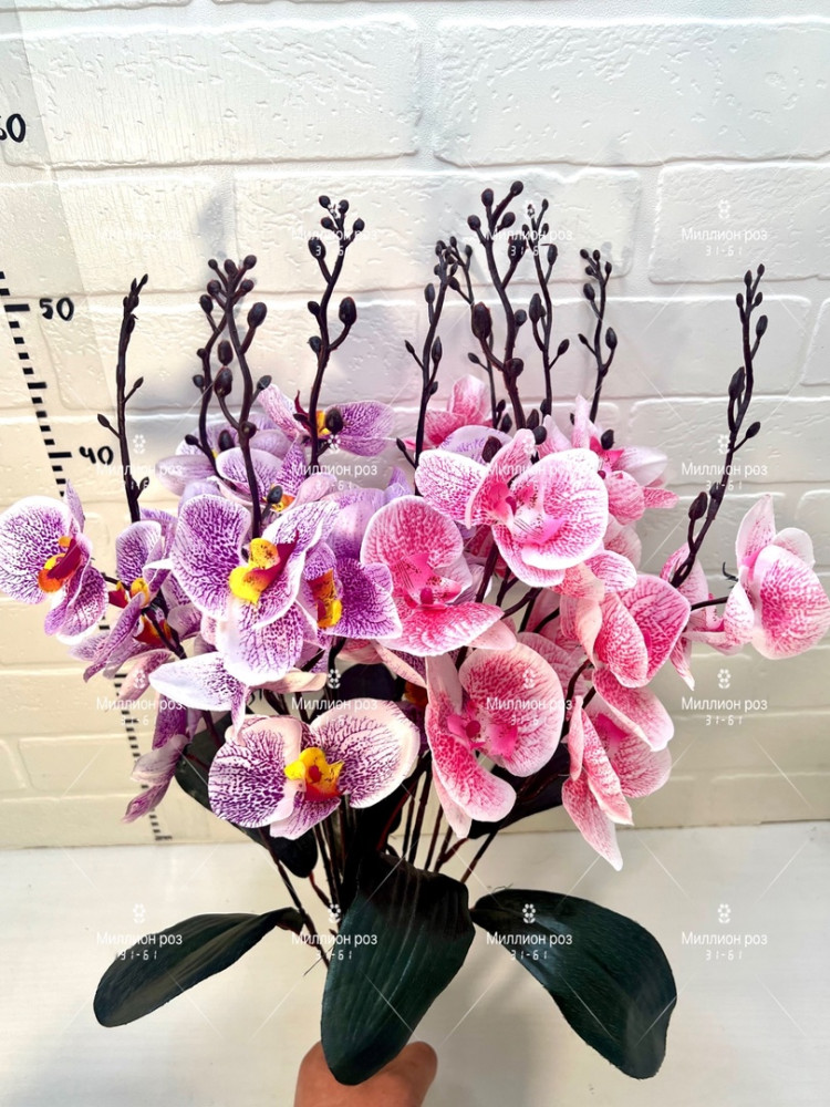 «Орхидея» Букет 20шт купить в Интернет-магазине Садовод База - цена 1600 руб Садовод интернет-каталог