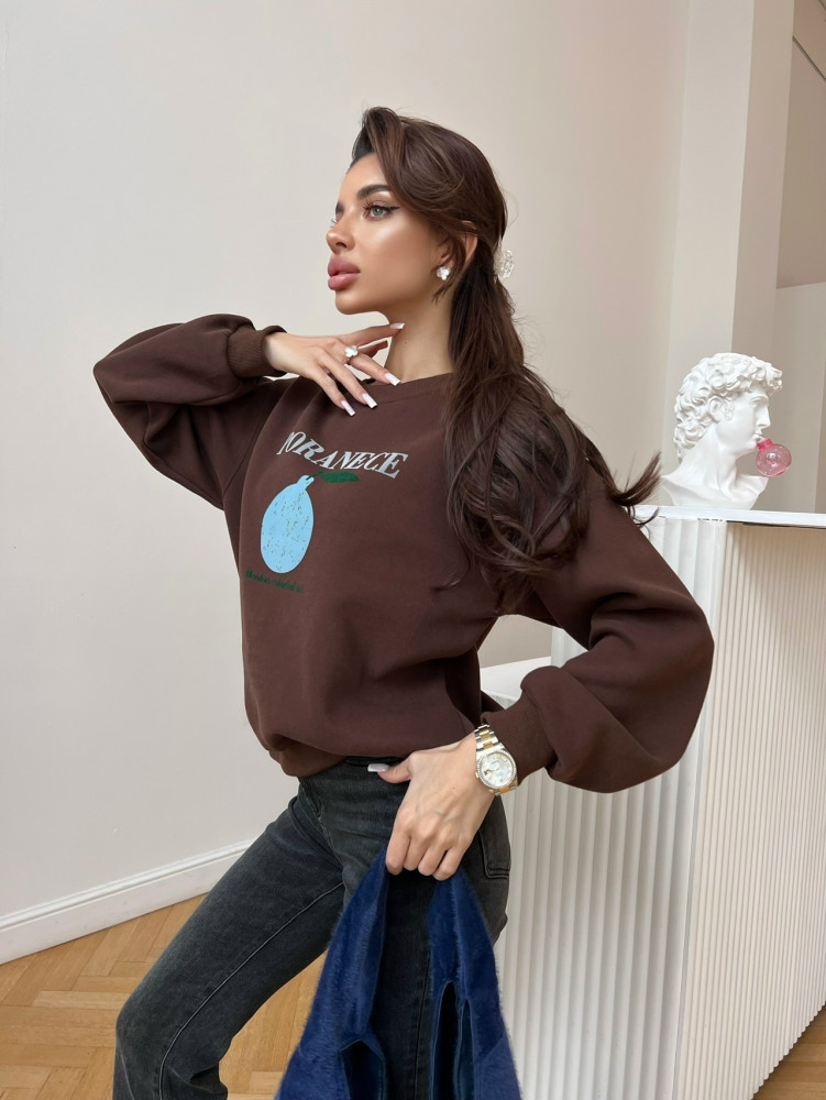 свитшот коричневый купить в Интернет-магазине Садовод База - цена 1000 руб Садовод интернет-каталог