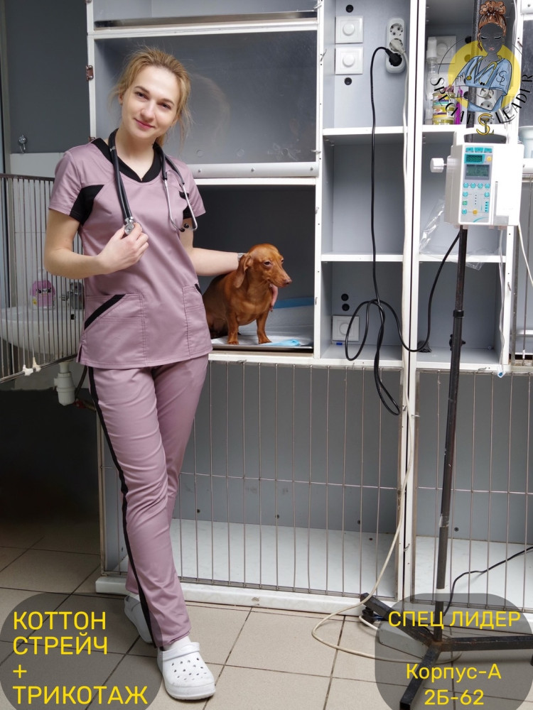 🔘Костюм «Инвита»🔘 (САНА) купить в Интернет-магазине Садовод База - цена 2950 руб Садовод интернет-каталог