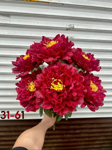 цветы САДОВОД официальный интернет-каталог