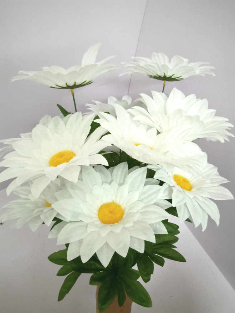 цветы купить в Интернет-магазине Садовод База - цена 10000 руб Садовод интернет-каталог