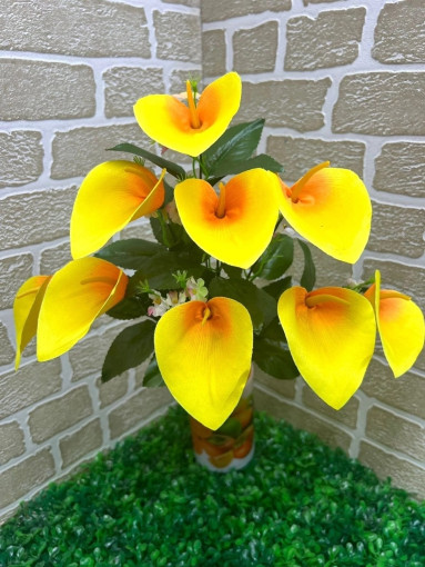 цветы САДОВОД официальный интернет-каталог