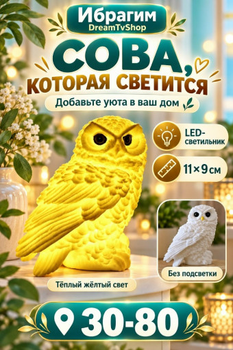 Сова, которая светится САДОВОД официальный интернет-каталог