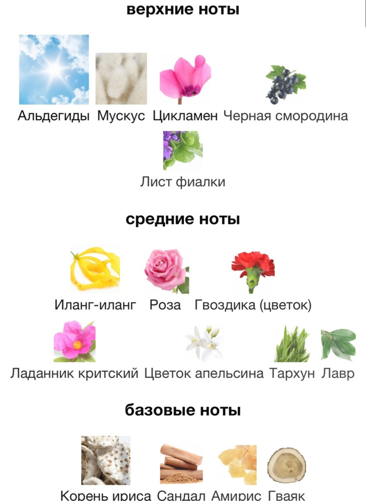 парфюм купить в Интернет-магазине Садовод База - цена 1800 руб Садовод интернет-каталог