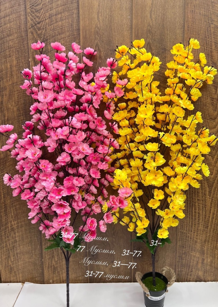 цветы купить в Интернет-магазине Садовод База - цена 3700 руб Садовод интернет-каталог