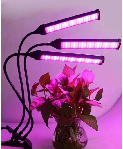 Фитолампа для растений САДОВОД официальный интернет-каталог