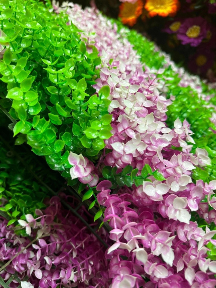 цветы купить в Интернет-магазине Садовод База - цена 2900 руб Садовод интернет-каталог