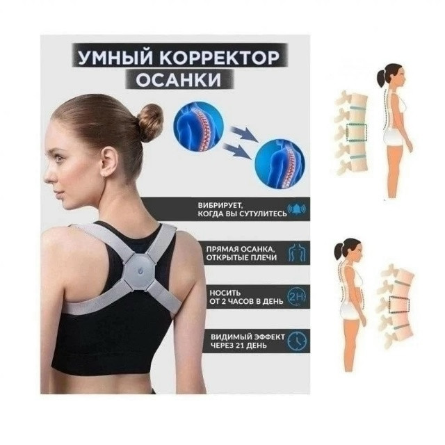 Ортопедический корсет купить в Интернет-магазине Садовод База - цена 170 руб Садовод интернет-каталог