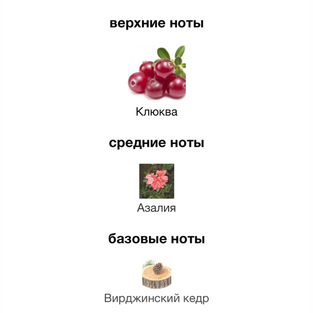 Женские духи купить в Интернет-магазине Садовод База - цена 1000 руб Садовод интернет-каталог