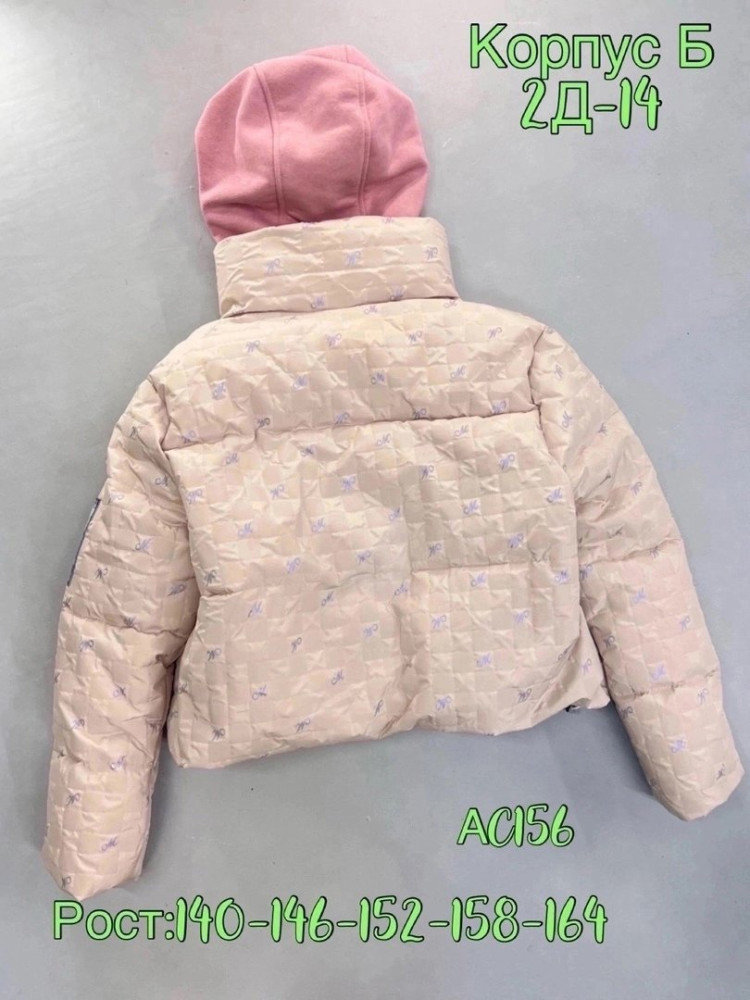 Куртка детская бежевая купить в Интернет-магазине Садовод База - цена 1000 руб Садовод интернет-каталог