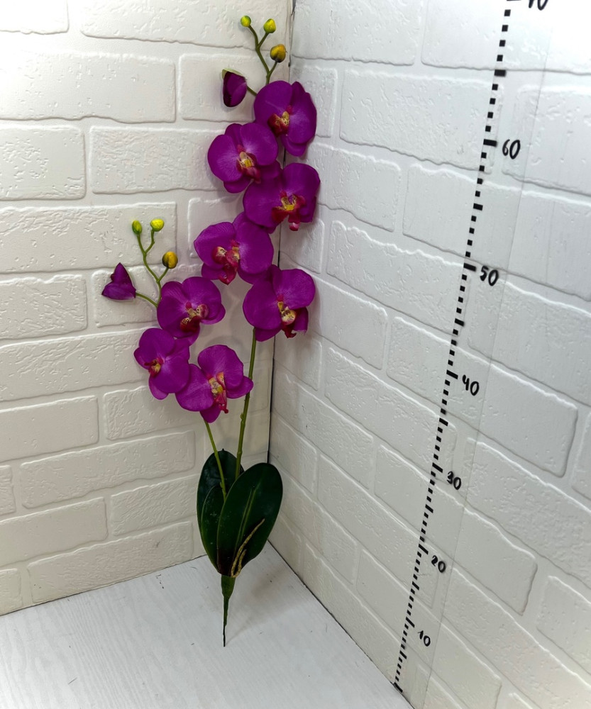 Орхидея ветка 3шт купить в Интернет-магазине Садовод База - цена 100 руб Садовод интернет-каталог
