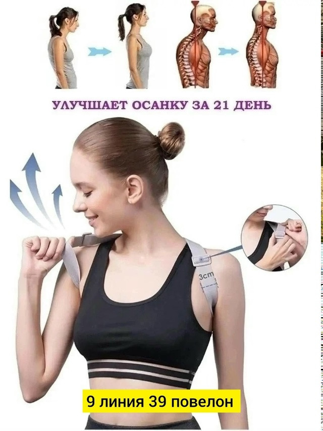 Ортопедический корсет купить в Интернет-магазине Садовод База - цена 170 руб Садовод интернет-каталог