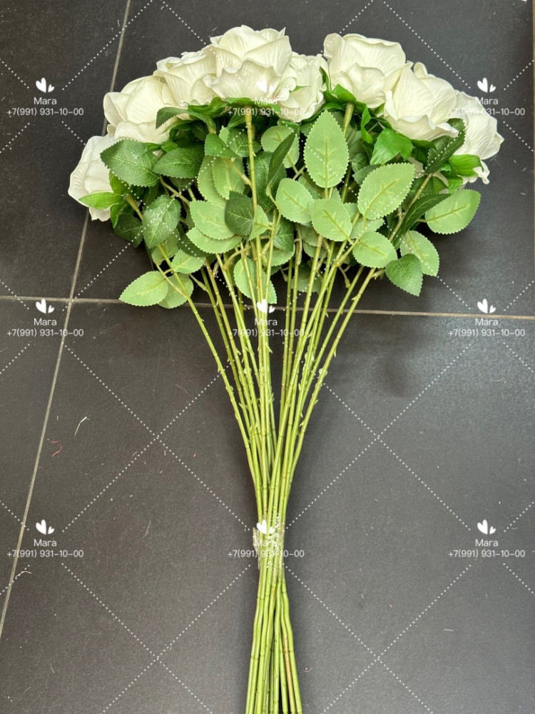 Роза белый купить в Интернет-магазине Садовод База - цена 4800 руб Садовод интернет-каталог