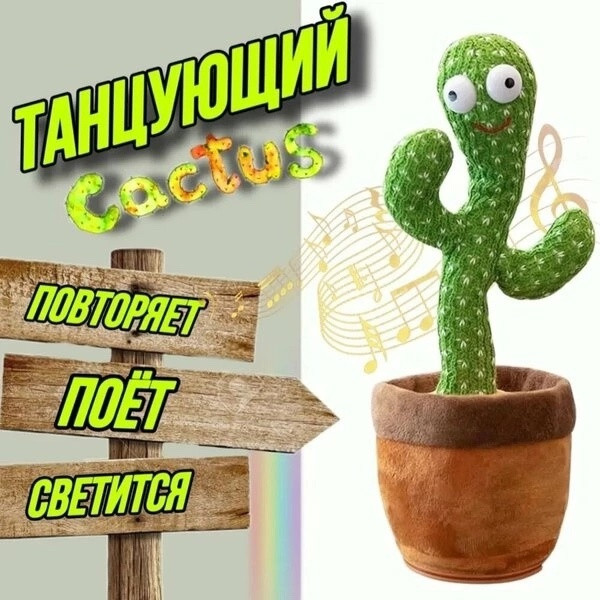 Танцующий кактус купить в Интернет-магазине Садовод База - цена 200 руб Садовод интернет-каталог