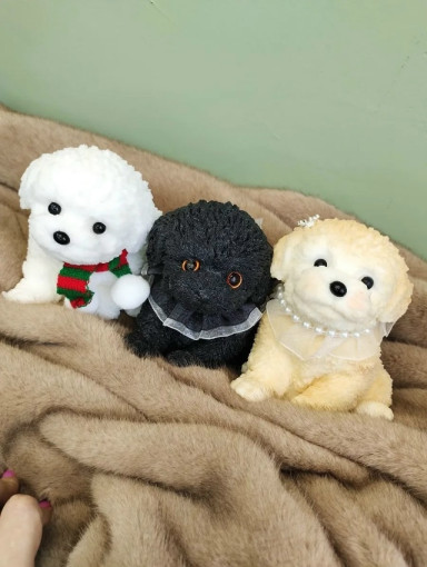 Сквиш Собака САДОВОД официальный интернет-каталог