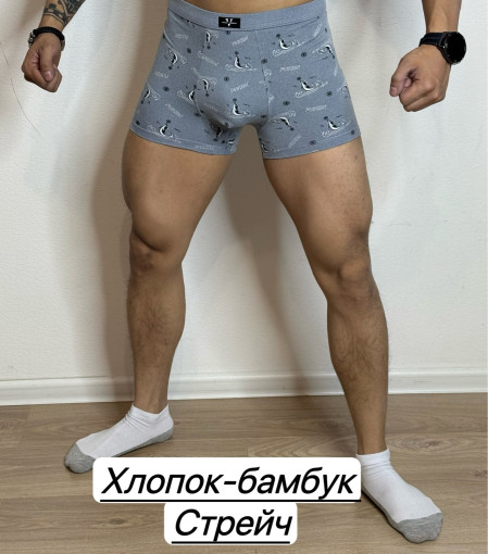 Трусы для мужчин, бамбук САДОВОД официальный интернет-каталог