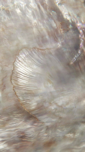 - Чокер с жемчугом «шар» САДОВОД официальный интернет-каталог