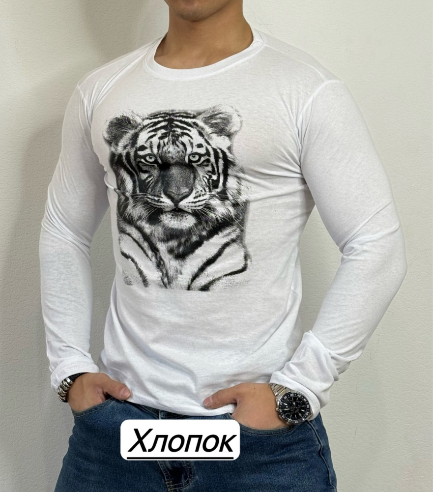Футболка для мужчин, хлопок купить в Интернет-магазине Садовод База - цена 250 руб Садовод интернет-каталог
