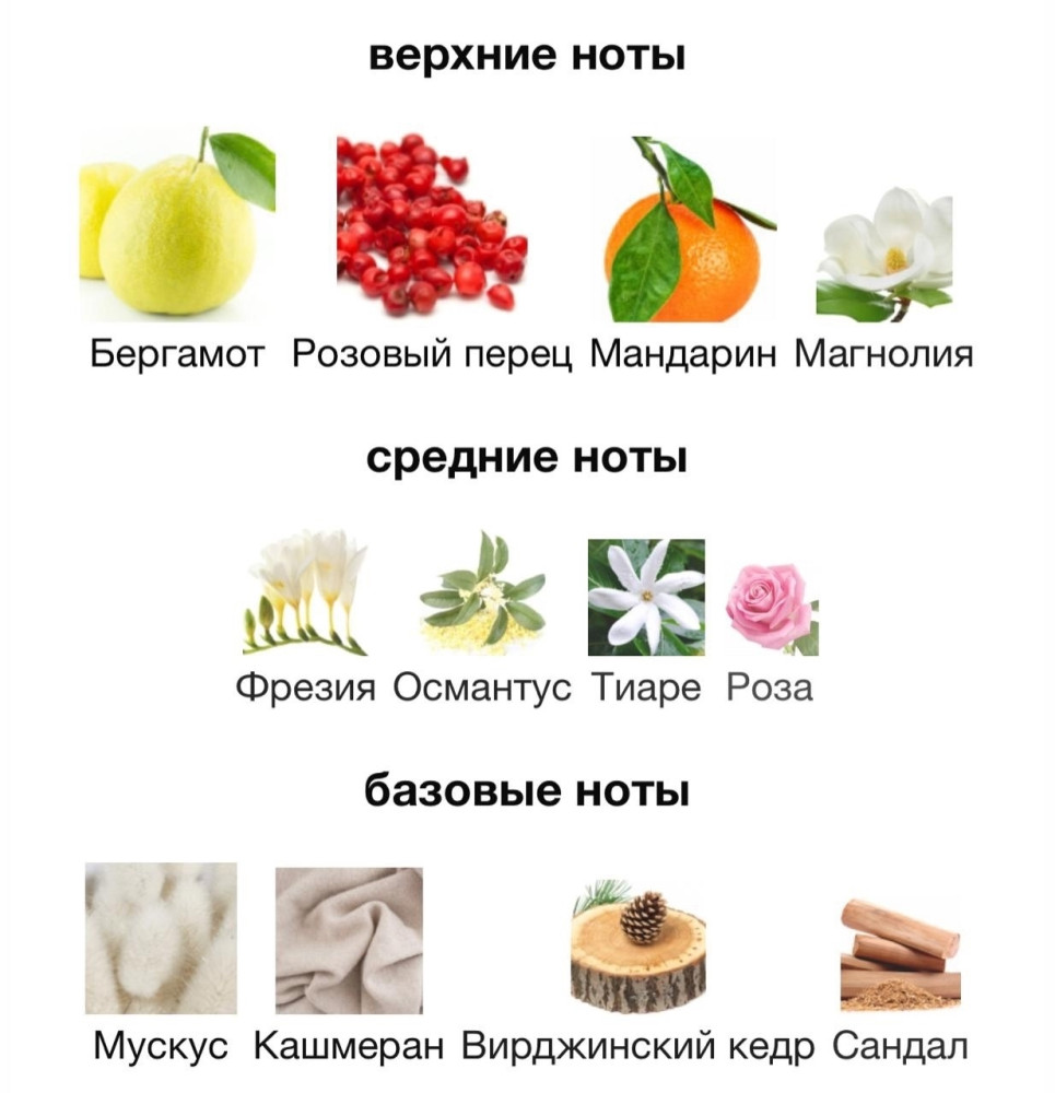 Женские духи купить в Интернет-магазине Садовод База - цена 1200 руб Садовод интернет-каталог