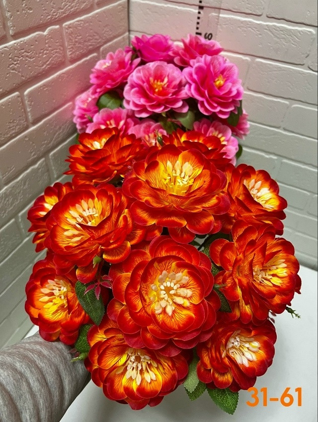 цветы купить в Интернет-магазине Садовод База - цена 3000 руб Садовод интернет-каталог