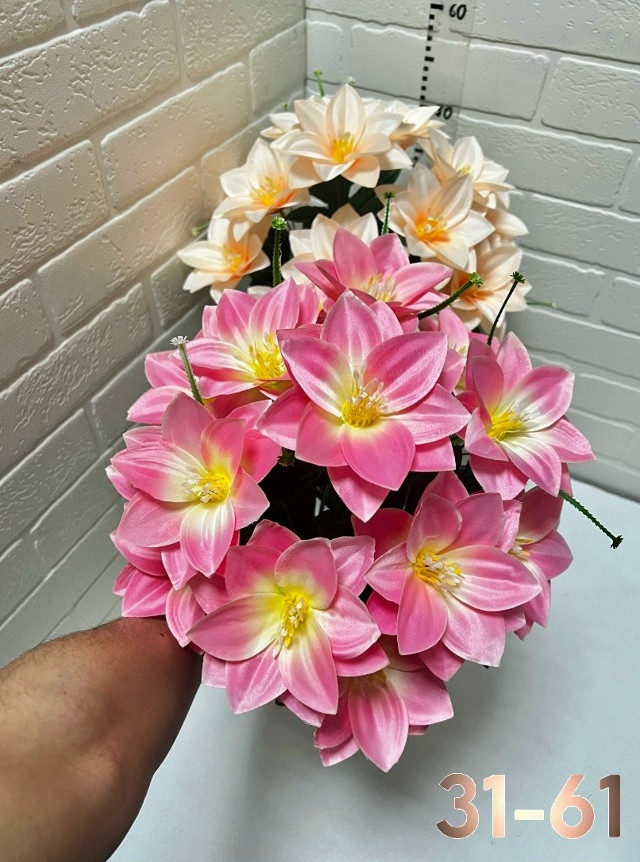 цветы купить в Интернет-магазине Садовод База - цена 2600 руб Садовод интернет-каталог