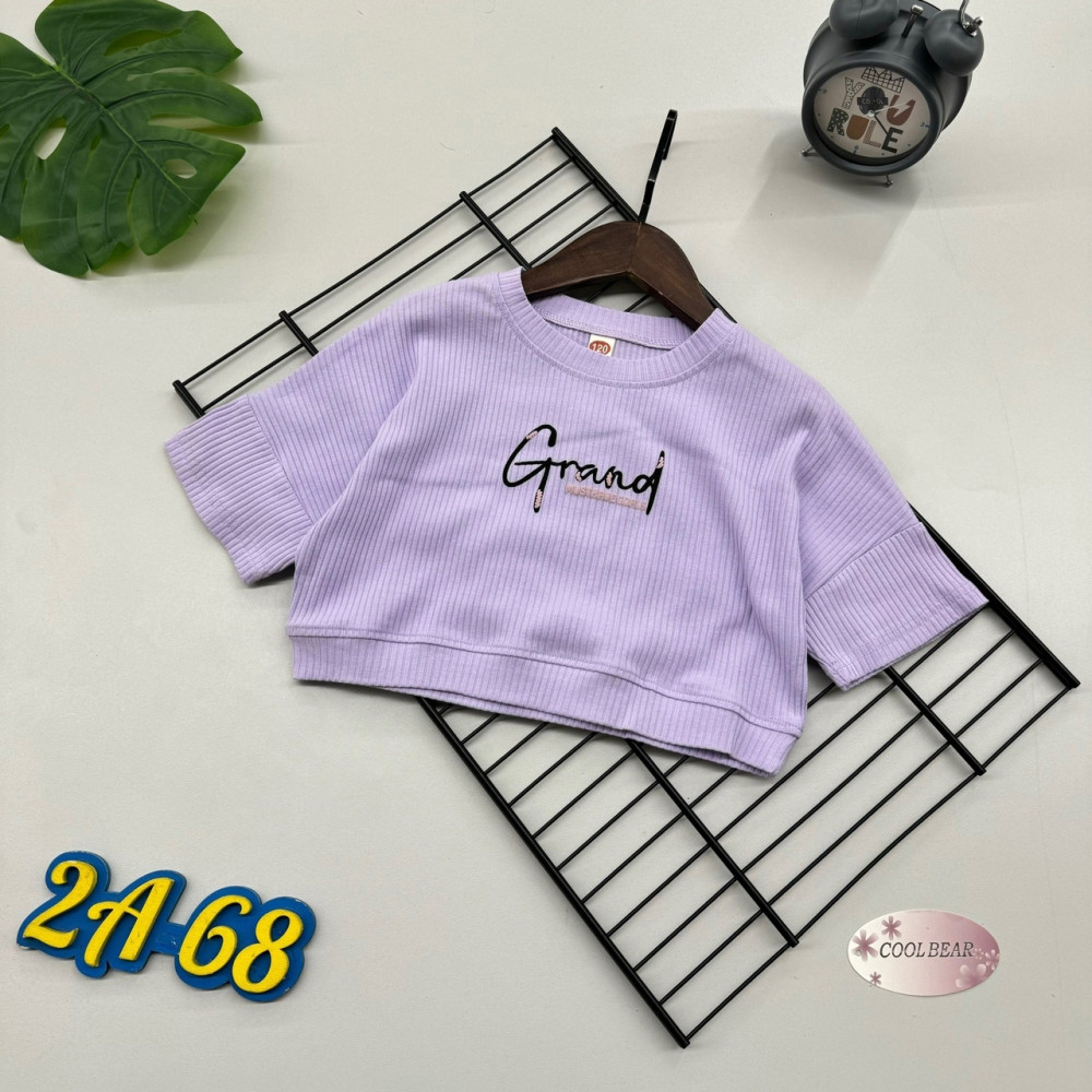 Детская футболка фиолетовая купить в Интернет-магазине Садовод База - цена 400 руб Садовод интернет-каталог