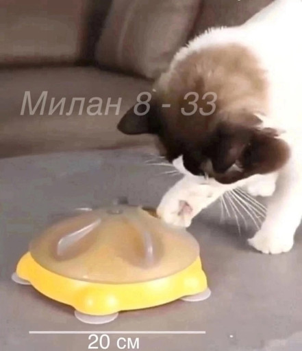 Кормушка Для Кошек САДОВОД официальный интернет-каталог