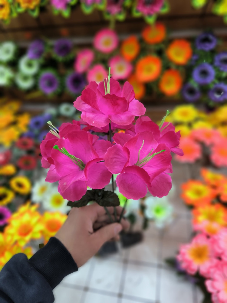 🌼Один букет 6голов купить в Интернет-магазине Садовод База - цена 1100 руб Садовод интернет-каталог