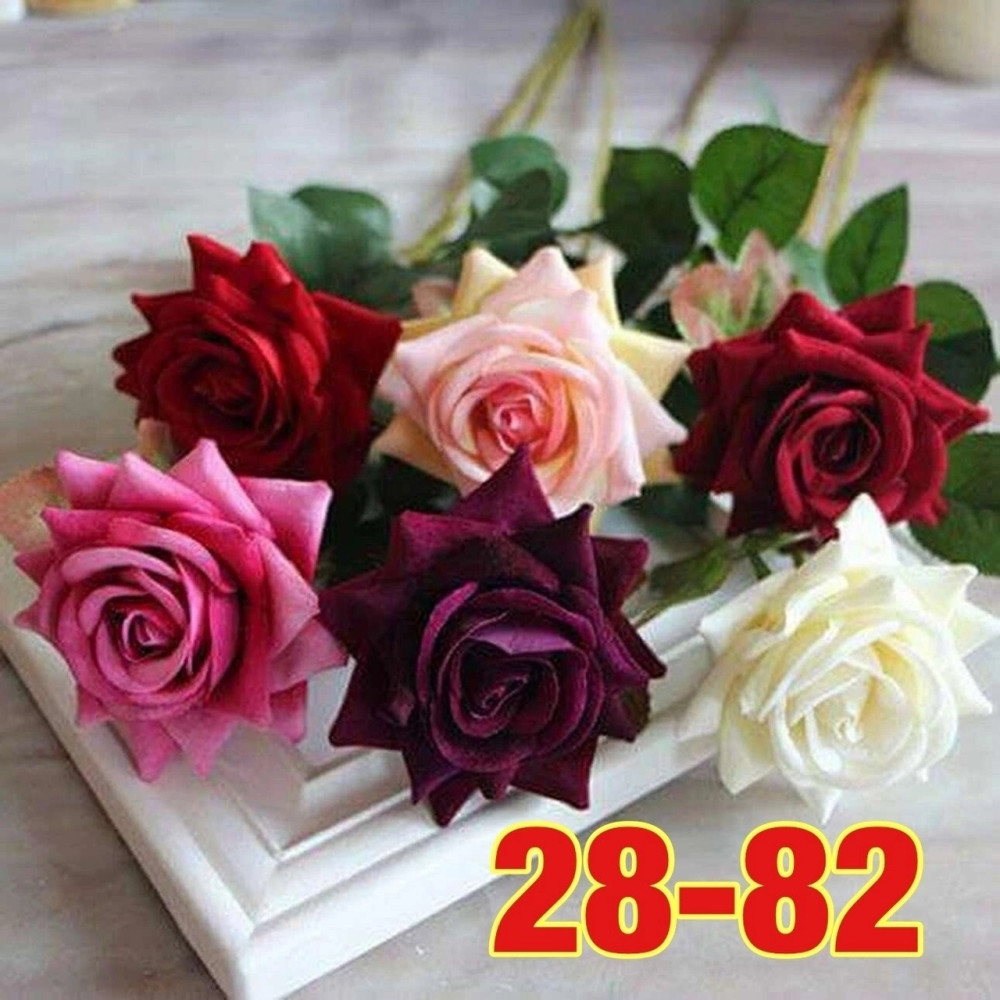 цветы купить в Интернет-магазине Садовод База - цена 800 руб Садовод интернет-каталог