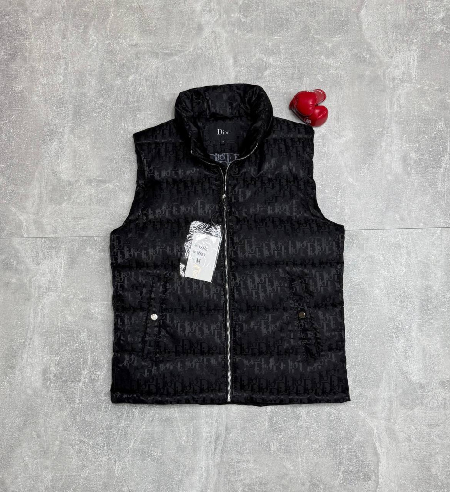 Жилет для мужчин, холлофайбер купить в Интернет-магазине Садовод База - цена 2300 руб Садовод интернет-каталог