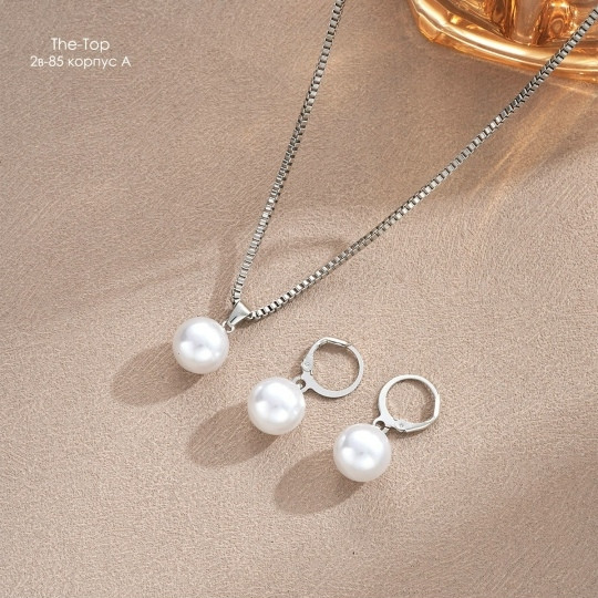 Комплект серебристый купить в Интернет-магазине Садовод База - цена 150 руб Садовод интернет-каталог