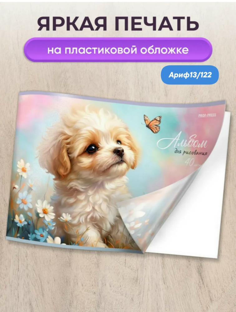 Альбом для рисования купить в Интернет-магазине Садовод База - цена 99 руб Садовод интернет-каталог
