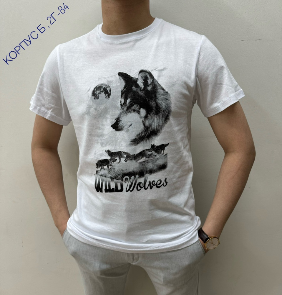 Мужская футболка белая купить в Интернет-магазине Садовод База - цена 250 руб Садовод интернет-каталог