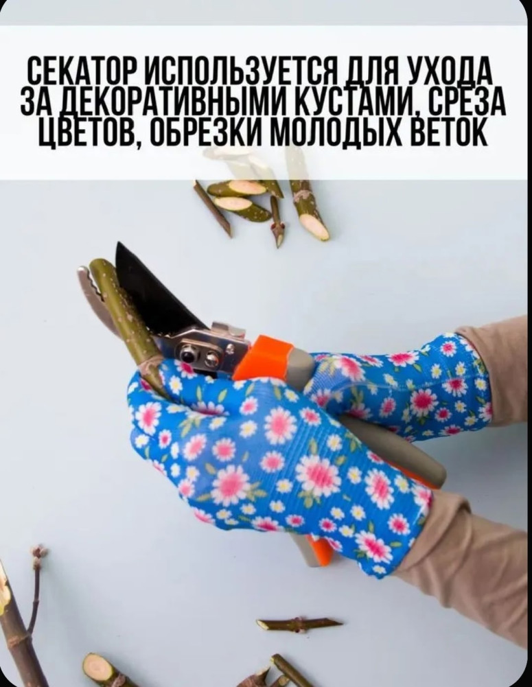 Садовый секатор купить в Интернет-магазине Садовод База - цена 150 руб Садовод интернет-каталог