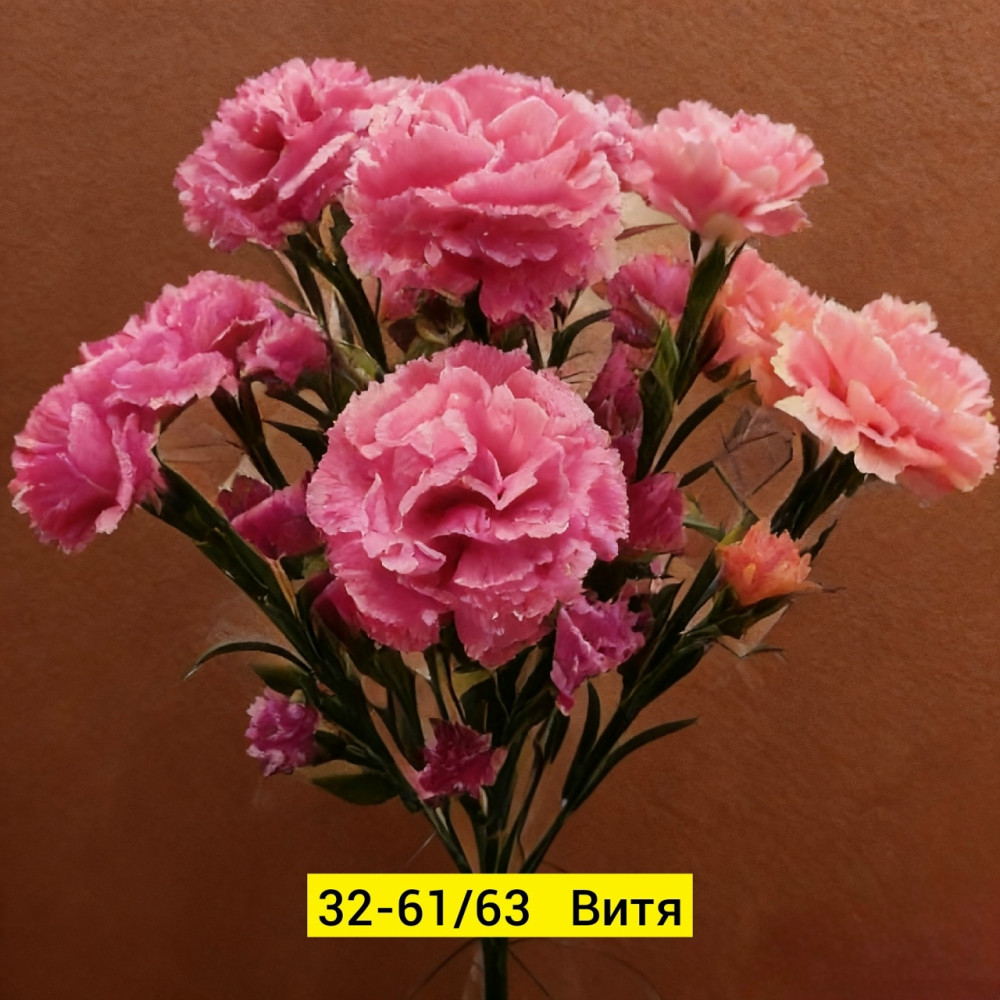 Искусственные цветы купить в Интернет-магазине Садовод База - цена 2200 руб Садовод интернет-каталог