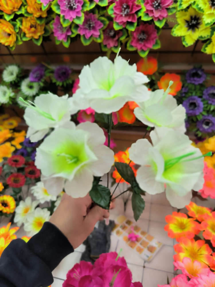 🌼Один букет 6голов купить в Интернет-магазине Садовод База - цена 1100 руб Садовод интернет-каталог