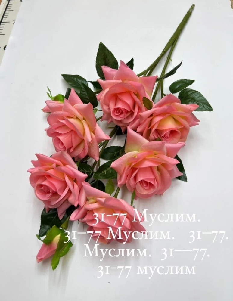 цветы купить в Интернет-магазине Садовод База - цена 3100 руб Садовод интернет-каталог